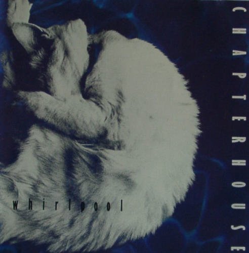 Whirlpool [Audio CD] Chapterhouse