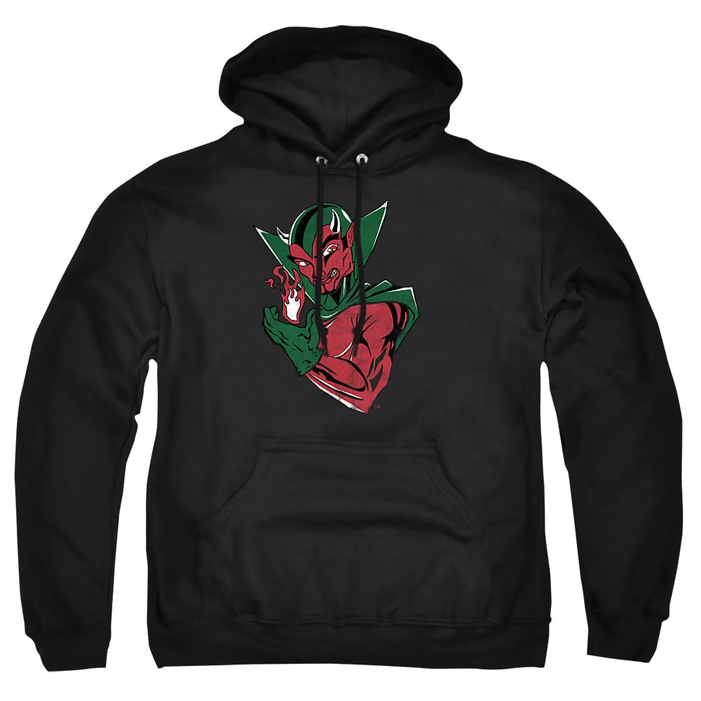 LOGOVISION Official Collegiate Distressed Primary Logo Adult Pullover Hoodie Collection — view 82