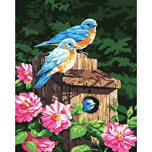 Peinture par numéros oiseau bleu sur toile avec cadre pour adulte et enfant