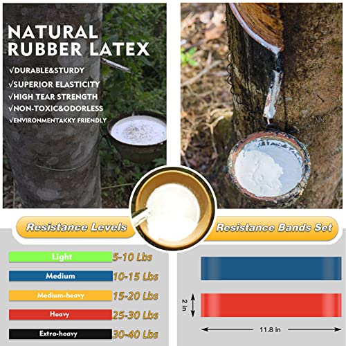 Xonyicos Exercise Resistance Bands Set For 5 Natural Latex Workout Bands With Handles For Working Out | Suitable For Pilates, Stretching, Physical Therapy, Yoga, Work From Home Fitness #TOP3