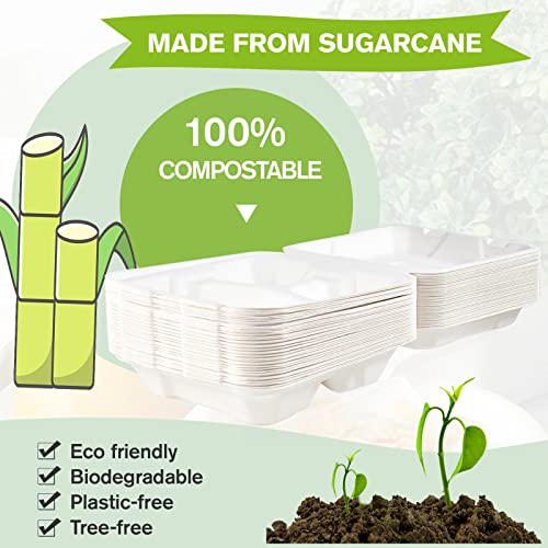 Ecolipak 50 Pack Clamshell Take Out Food Containers, 100% Compostable Disposable To Go Containers, 8X8 3-Compartment Heavy-Duty To Go Boxes For Food #TOP1
