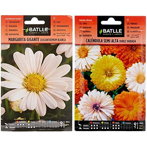 Marg. Gigante blanca Leucantemum & Caléndula semi alta doble variada
