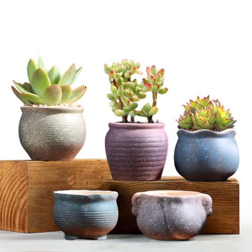Succulent Pots, Set of 5 Ceramic Flower Pots for Mini Plant Ceramic Flowing Glaze Base Serial Set including Holes