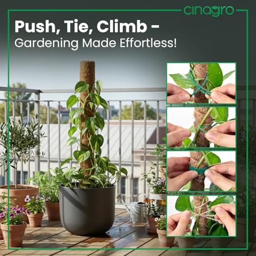 Image of CINAGRO 3ft Natural Coir Moss Stick for Plant Support, Set of 2, Grass Pole | Aesthetic Garden Decor for Climbing Plant, Eco-Friendly, Biodegradable