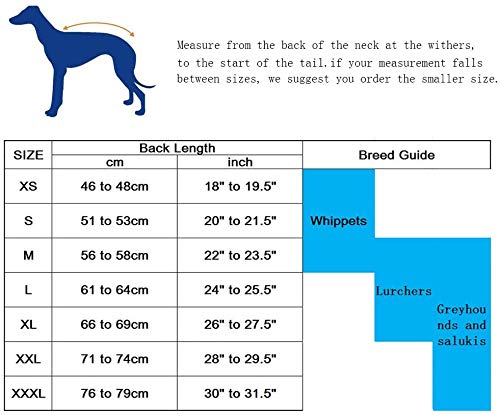 MOREZI Windhund-Wintermantel, Whippet-Mantel mit gepolstertem Fleece-Futter, Wasserabweisende Hundejacke mit verstellbaren Bändern und reflektierenden Elementen-Navy-M