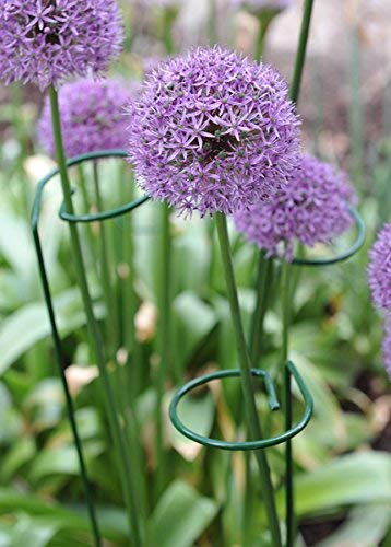 10 Tutori Per Piante In Fibra Di Vetro - Supporti A Stelo Singolo Per Fiori, Orchidee, Giardino