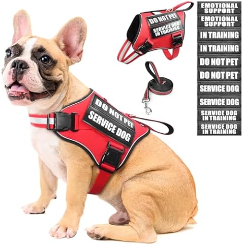 MOOGROU Service Dog Vest Harness and Leash Set+10 Patches,No Pull&Adjustable Reflective Dog Harness with Soft Padded Handle for Training/Everyday,Fit Small/Medium/Large/Extra-Large Dogs(Red M) Cover