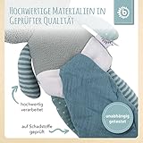 Bieco Frosch Kuscheltier Mit Schmusetuch | 30 cm | Plüschtier für Baby, Mädchen & Junge | Stuffed Animal | Süßes Stofftier