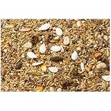 Zoom IMG-1 jr farm criceto nano 600 Zoom IMG-1 jr farm criceto nano 600