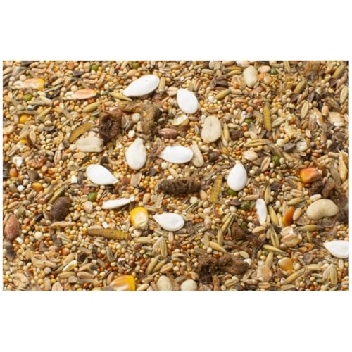 JR FARM Zwerghamster-Schmaus 600 g