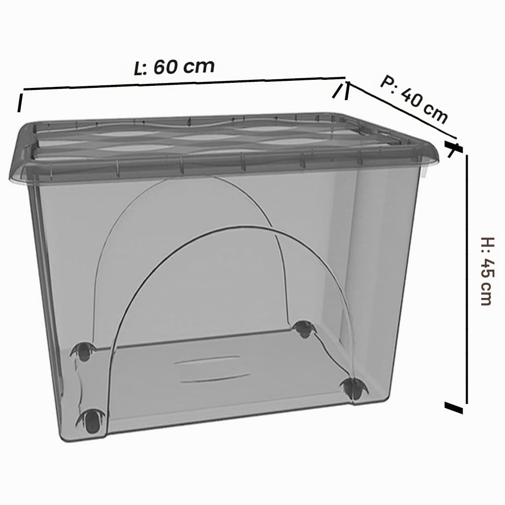 2 bauli STORAGE 80LT Scatole cassa Multiuso Grane cm 60x40x45 Box Portaoggetti Contenitore Organizer Salvaspazio con Coperchio fume 4 Ruote Sovrapponibile organizzazione cesta indumenti Casa Bagno