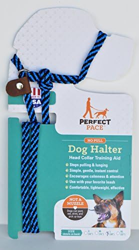Perfect Pace Halter Large Blue/Black