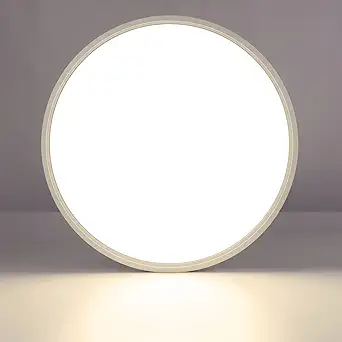 LightingWill 15.7 Inch LED Flush Mount Ceiling Light Fixture, 4000K Nurture White, 3800LM, 32W, Flat Modern Round Lighting Fixture, 320W Equivalent White Ceiling Lamp for Kitchens, Bedrooms.etc.