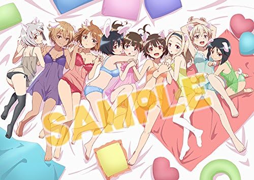 Amazon ブレイブウィッチーズ 描き下ろしa2タペストリー アニメイト景品 アニメ 萌えグッズ 通販