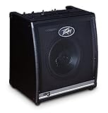  PEAVEY PVAKB3 Tastatur combo mit Tweeter KB 3 60/80 Watt, 30,5 cm (12 Zoll)