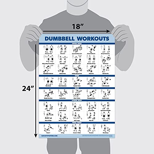 Affiche D'exercices De Suspension QUICKFIT - Double Face Laminée 45,7 X 61 Cm - Résistante Aux Déchirures - Pour Salle De Sport, Garage