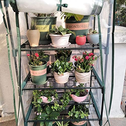 Qaqe Greenhouse Tents,Mini Small Greenhouse For Plant,Portable Plant Gardening Greenhouse Tent,Durable Pvc Cover With Roll-Up Zipper Door For Garden,Patio(Only Cover) Transparent #TOP6