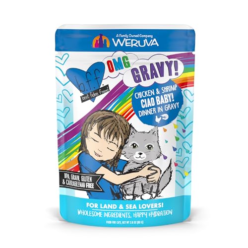 Weruva B.F.F. OMG - Best Feline Friend Oh My Gravy!, Ciao Baby! with Chicken & Shrimp in Gravy Cat Food, 2.8oz Pouch (Pack of 12)