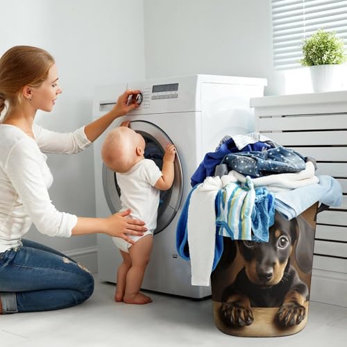 Panier à linge pliable teckel idéal pour la chambre - 8