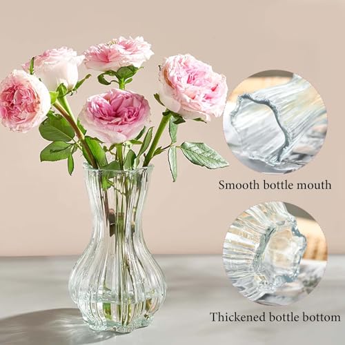 Vase en Verre Transparent 20,5cm,Vase à Fleurs Décoration Vases en Verre pour Tulipe, Grand Vases pour Décoration de Table Ou de Halloween Noël Mariage La Maison, Bureau Fête – Image 4