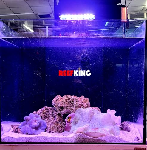 Image of Blenny Nano Marine Tank Light for Tanks Upto 1.5 Feet