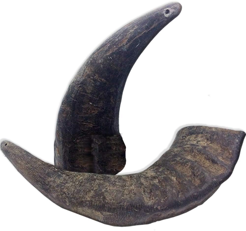 QT Dog Buffalo Hornz - Medium (Pack of 2) | Long-Lasting 100% All-Natural Dog Chew | Ethically Sources Protein-Packed & Low Fat Dental Chews | Ideal for All Breeds & Aggressive Chewers |