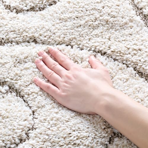 SAFAVIEH Florida Shag Collection Accent Rug - 4' x 6', Cream & Beige, Scroll Design, Non-Shedding & Easy Care, High-Low Plush Pile, Ideal for Living Room, Bedroom, Dining Space (SG455-1113)