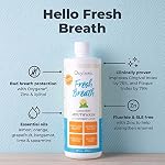 Oxyfresh Lemon Mint Fresh Breath Mouthwash – Bad Breath Treatment – SLS & Fluoride Free – Alcohol Free, Gentle Nonburning with Xylitol & Essential Oils – 16 Fl Oz - Image 2