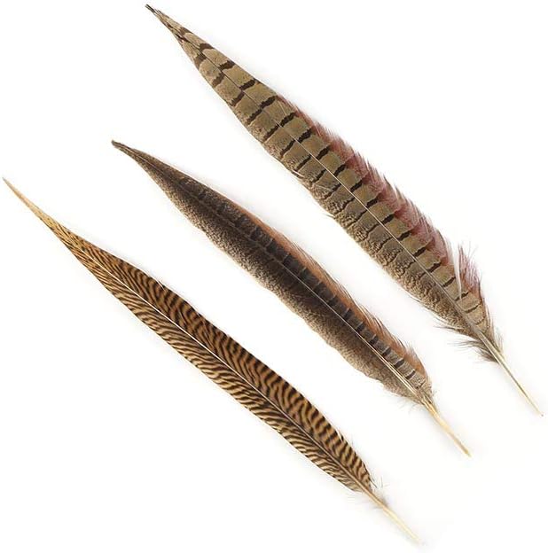 Pheasant Tail Feather Craft Supplies - 8-14" Golden Brown Natural Home Decor 10pcs
