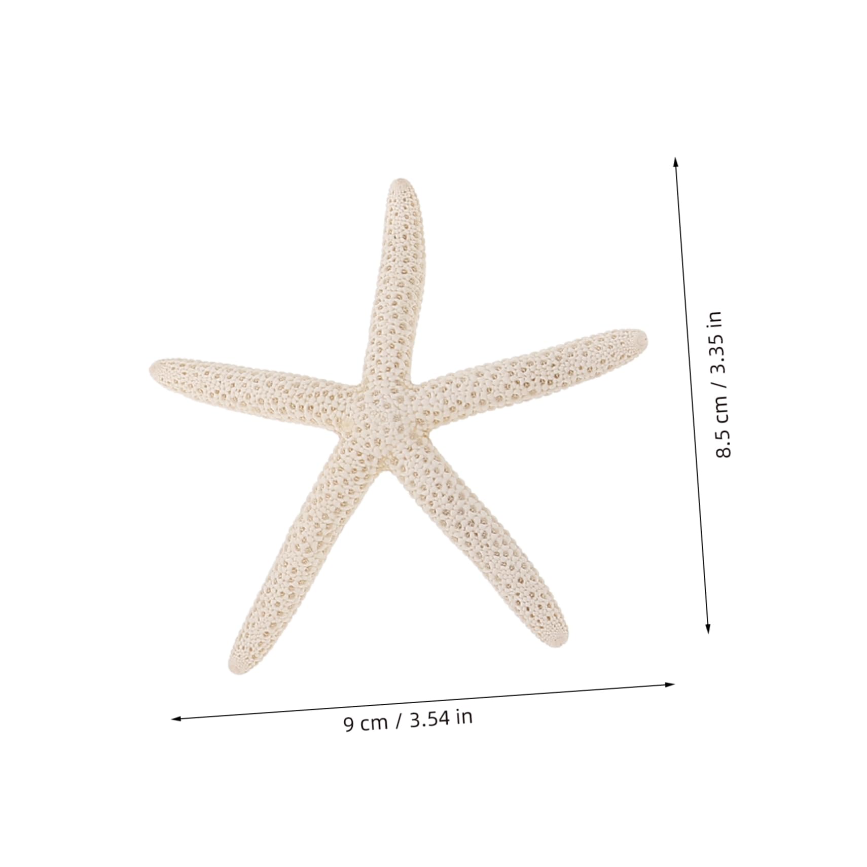 Amazon.co.jp: STOBOK 8個天然ヒトデ 装飾 ブリザードフラワー