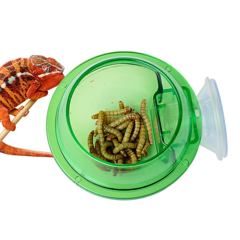 Mangeoire pour reptiles - Ventouse Gamelle pour Caméléons, Tortues, Geckos, Serpents, Iguanes - Anti-fuite d'eau et de nourriture