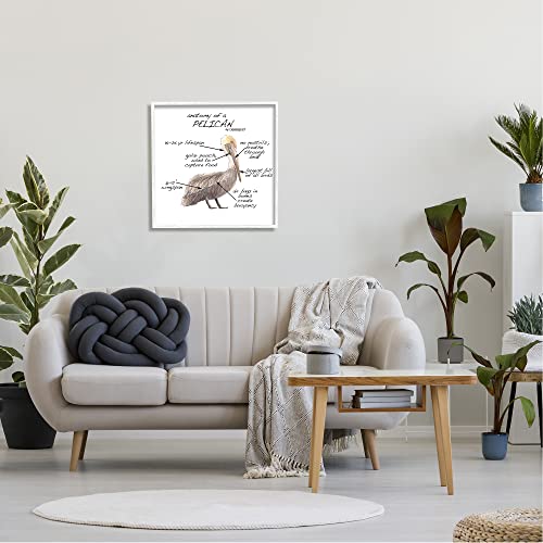 Image of Stupell Industries Pelican Sea Bird Animal Educational Anatomy Diagram, Design by Dishique, 24 x 24, White Framed | Stupell Industries . By Dishique . Ready to hang . Educational coastal decor for kids rooms . Made in USA