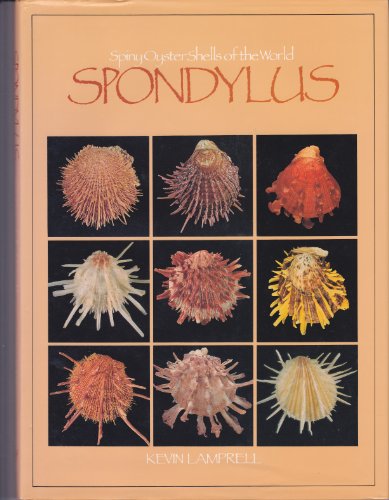 Spondylus Spiny Oyster Shells Of The World