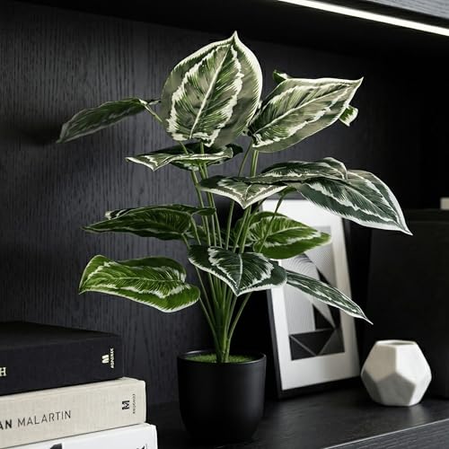 Image of Dekorly Plastic Artificial Palm Plants Leaves Faux Turtle Leaf Fake Monstera Tropical Large Palm Tree Leaves Outdoor Leaf Decorations | 26Inch Plants with Blackpot (Calathea)
