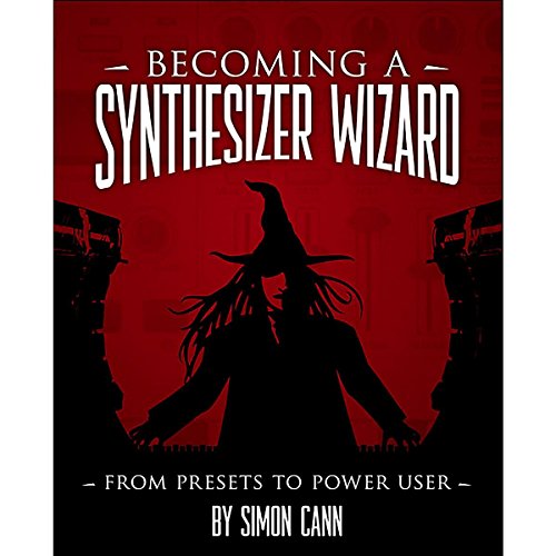 Becoming a Synthesizer Wizard view 2