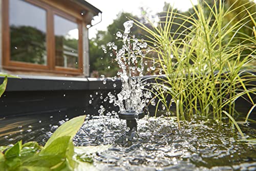 Hozelock Outdoor Aquarium - Terrassenteich 100 x 100 x 70 cm mit Flechtwänden inkl. Fenster, Schwarz