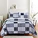SLPR Americana Pride 2-Piece Twin Comforter Set (Twin Quilt and 1 Pillow Sham): Patriotic Dorm DÃ©cor, Farmhouse Blue and White Bedding, Country Teen Boy Quilt, Rustic Coverlet - Twin Bedding Sets