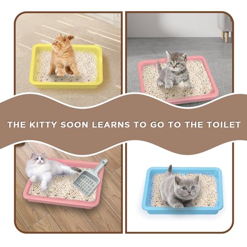 Kitten Litter Box pequeño 3 pcs con pala plástico miniatura 4