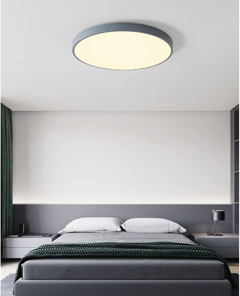 Ceiling Lights Round Simple Panel Light Modern Minimalist Cheap LED Ceiling Lamp Household Tri-Color Variable Light Flush Mount Fixture Lamp Balcony Corridor Kitchen