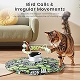 Gardner Pet 5-in-1 Automatic Interactive Cat Toys for Indoor Cats Adult, 3 Modes USB-C Rechargeable Laser Kitten Toys, with 2 Track Balls, 6 Feathers Rod, 1 Cover and Bird Sounds, Text-Graffiti - Image 4