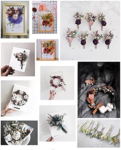 Colorful Real Dried Flowers, Dried Flowers Plants, Decor Natural Dried Plants Flowers, Pressed Flowers For DIY Candle Resin Jewelry Nail Pendant Crafts Making Art Floral Decors