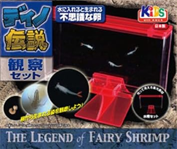 Amazon ニチドウ ディノ伝説 ニチドウ 飼育セット 通販