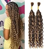 DSEKCAIN Water Wave Boho Braids Human Hair for Braiding Bulk Human Braiding Hair Crochet Micro Knotless Boho Braids Highlight Honey Blonde Color 100g (2 of 50g) 16 inch P4/27