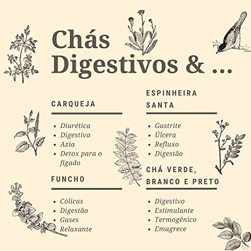 Kit 3 Chá Verde Orgânico Premium Folhas e Talos Blessing 300 Gramas
