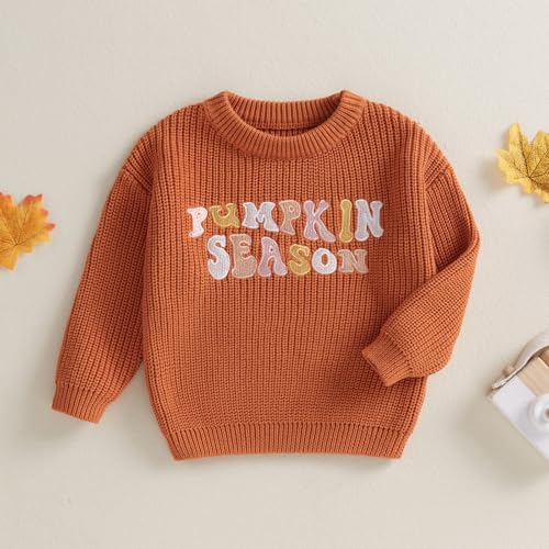 toddler knit sweater pullover blouse pumpkin sweater baby girl boy winter fall clothes