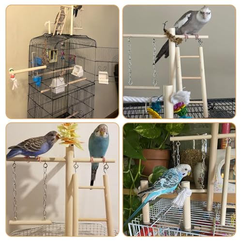 Image of PINVNBY Bird Playground, Wood Parrot Play Gym Stand Perch Bird Cage Accessories for Small and Medium Parakeet Cockatiel Conure Love Birds Finch