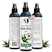 Organic Aloe Vera Gel from 100% Pure and Natural Cold Pressed Aloe, Great for Face, Hair, Acne, Sunburn, Bug Bites, Rashes, Eczema 8 oz.