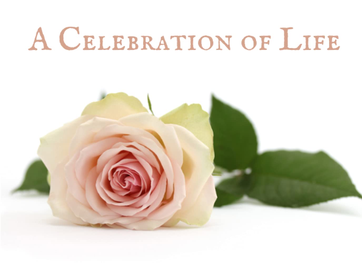 A Celebration of Life: Funeral Guest Books Celebration of Life Guest Books, Memorial Service Guest Book Sign for Funerals | Guest Book for Funeral, ... Book Memory Book for Funeral Guest Registry
