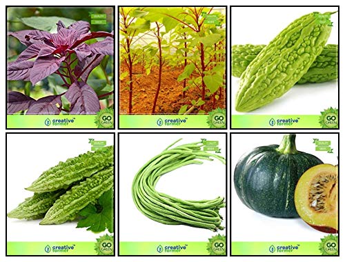 Creative Farmer Garden Seeds Combo Vegetable Seeds : Amaranthus(Red), Amaranthus(Green), Bhindi (Arka Anamika), Bittergourd Priyanka - White Large Spindle Fruits , Cowpea (Vj ), Dolichus Beans (Grace) Kitchen Garden Pack