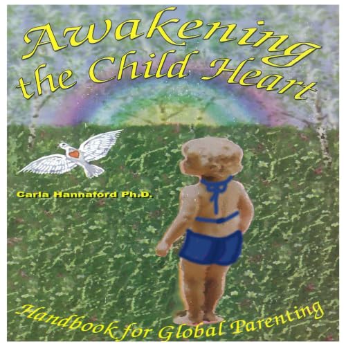 Diseño de la portada del título Awakening The Child Heart